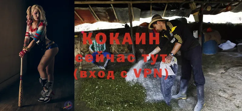 хочу   Грайворон  Cocaine FishScale 